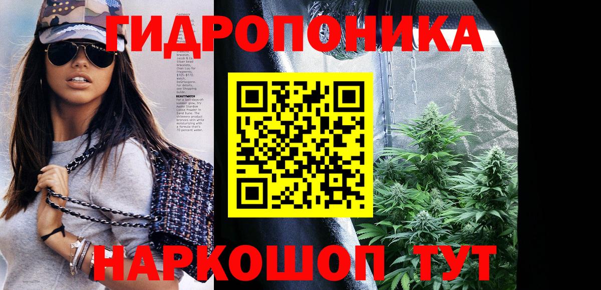 Бошки Шишки SATIVA & INDICA  Конопля AK-47  Бошки Шишки AK-47  Вход с VPN  Канабис MAZAR  Каменка 